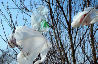 Voters split on plastic bag ban, single-payer health care and congestion pricing in Manhattan