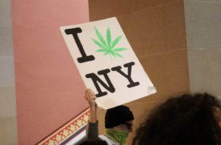 Albany marijuana legalization rally