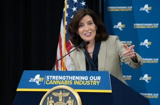 Gov. Hochul Embeds OGS Commissioner in Office of Cannabis Management For ‘Top-Down Review’