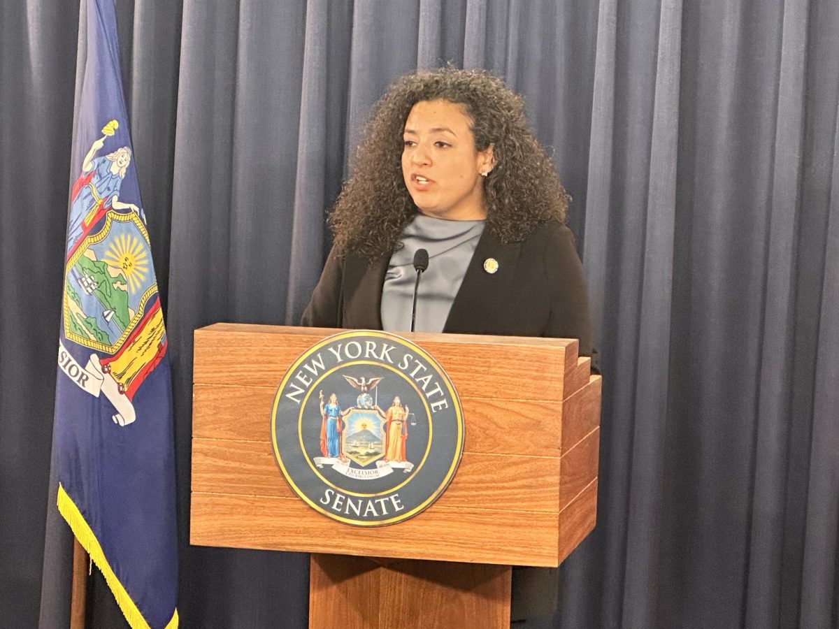 Sen. Nathalia Fernandez hosted the Health & Mental Hygiene hearing on Feb. 3. 