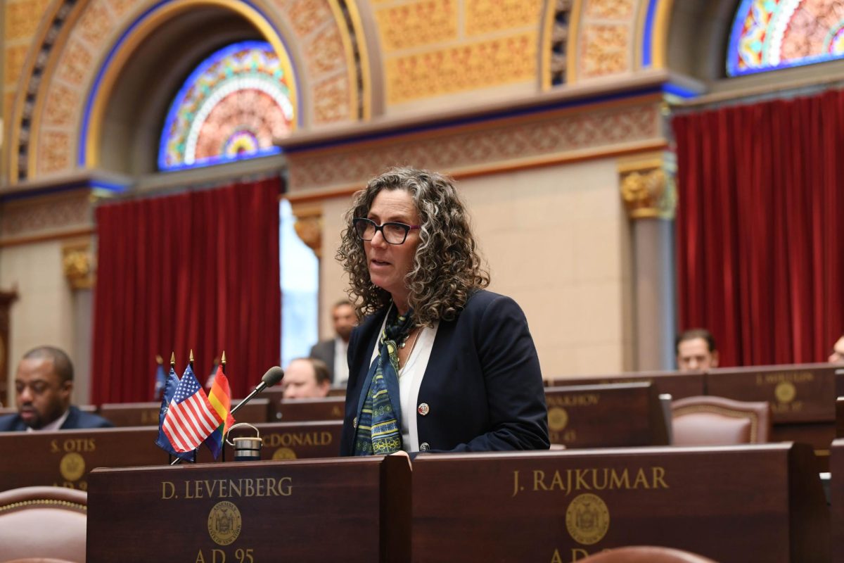 Assemblymember Dana Levenberg began speaking about current events in Minnesota before she was interrupted. Photo Courtesy of The Office of Assemblymember Dana Levenberg.